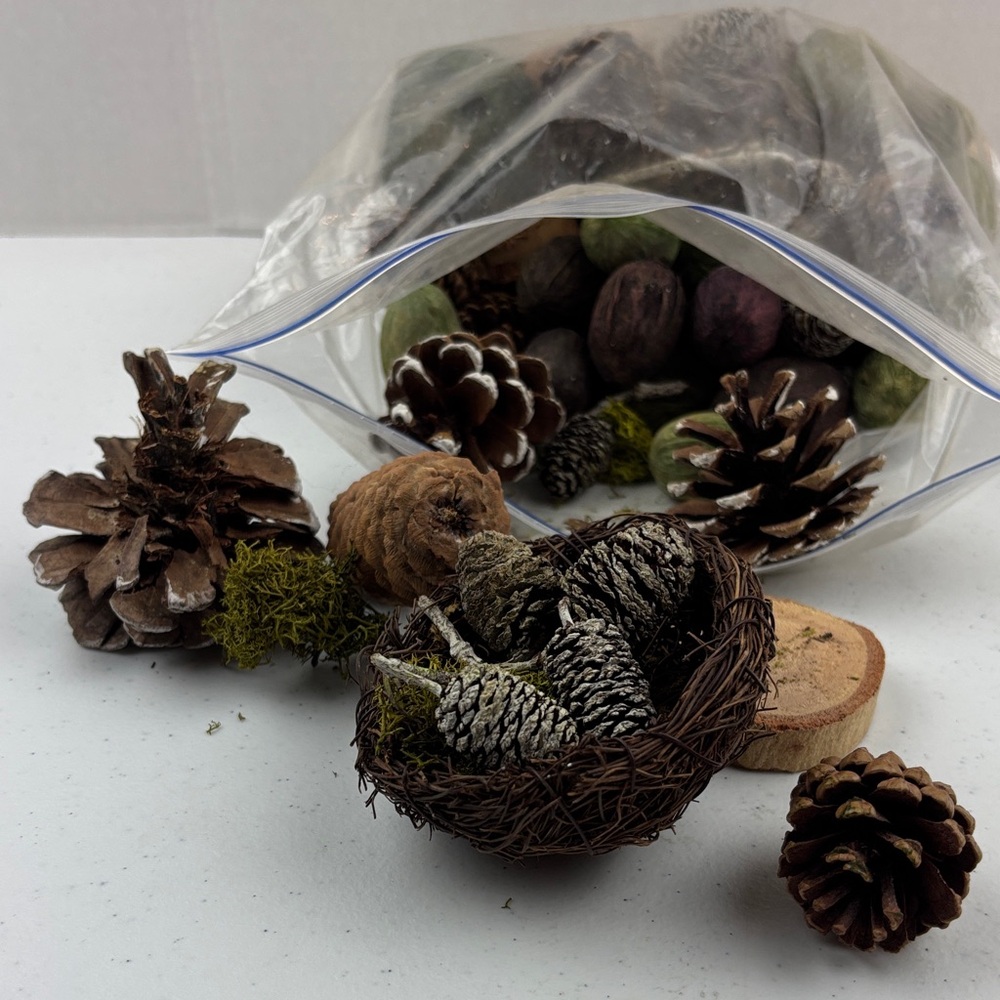 Decorative Pine Cones and Moss Set